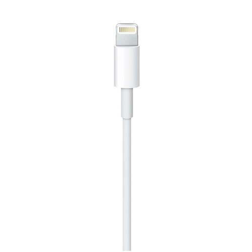 Кабел Apple Lightning to USB Cable 2m MD819 (Bulk)